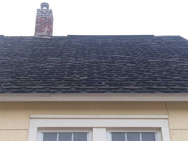 Shingle Roof